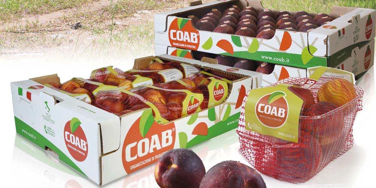 Drupacee, fare programmazione è sempre più complesso